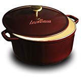 Best cast iron casserole dish for hob and oven with Lid