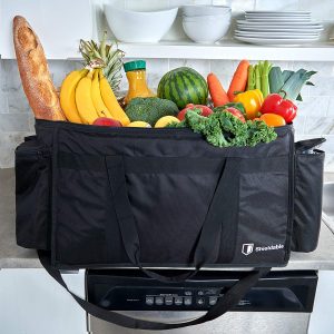 Food warmer Ice cooler bag under $50