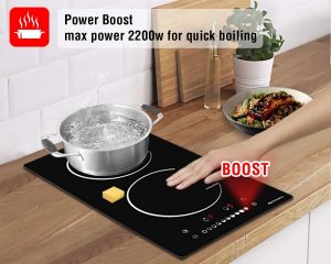 tiny house induction cooktop Burner