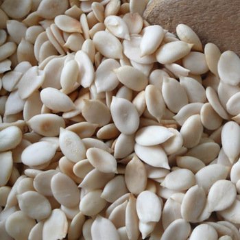 west African melon seed