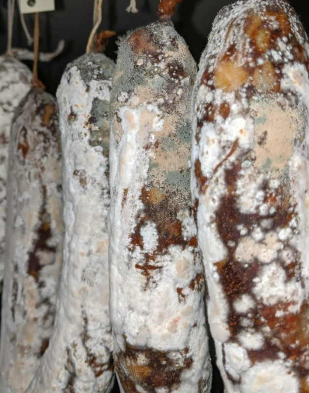 What is the White Mold on Sausage?