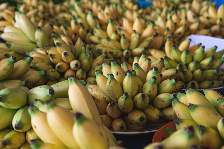 Fermenting Bananas: What You Should Know