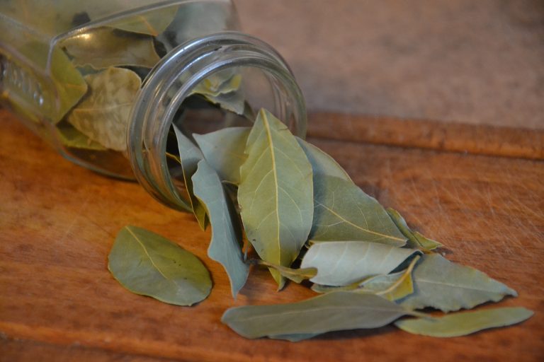 Can You Grind Bay Leaves?